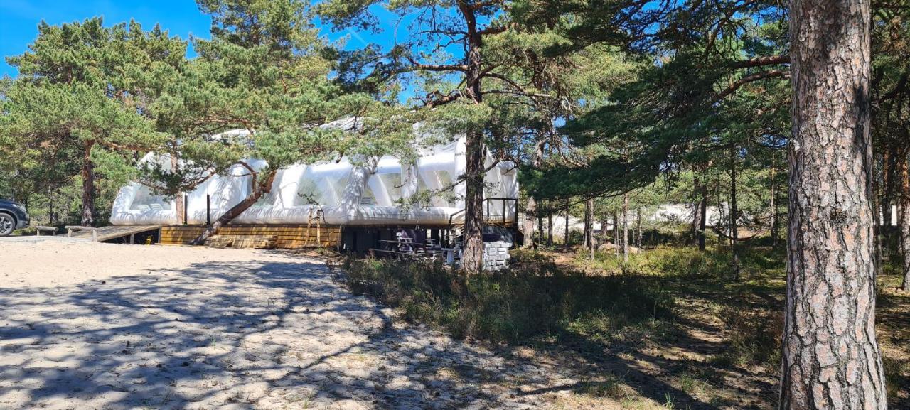 Sub Hel. Budzetowe Pokoje W Domu Z Basenem. Wokol Domu Tylko Natura. Balkon Zbyteczny. Exterior foto